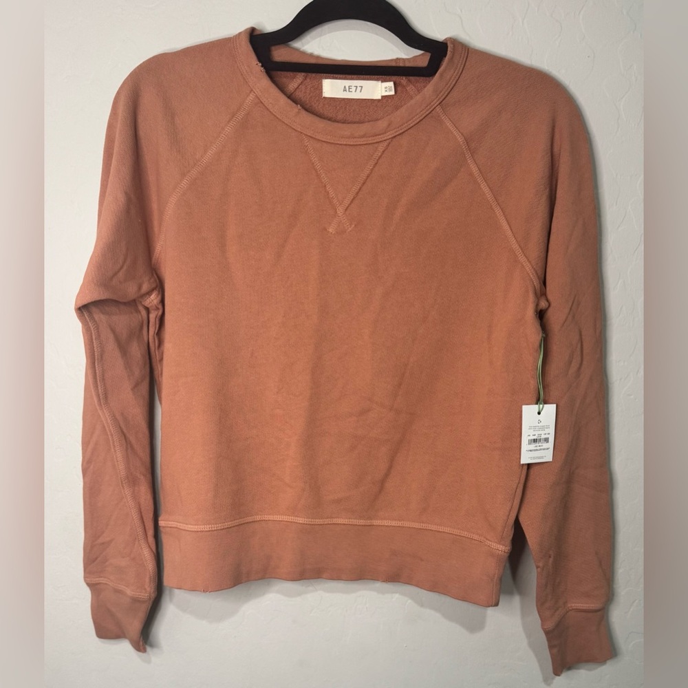 AE77 Premium Collection by AEO Crew Neck Sweatshirt